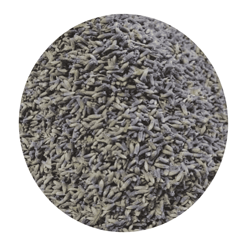 Organic Lavender Flower Buds food Grade From Provence